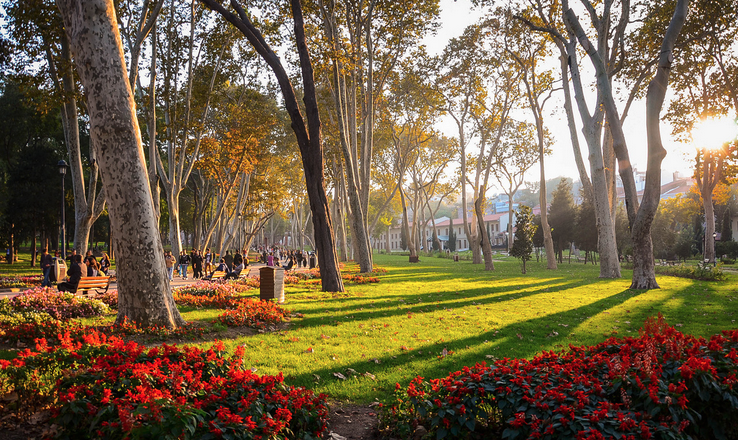 people meeting in a park